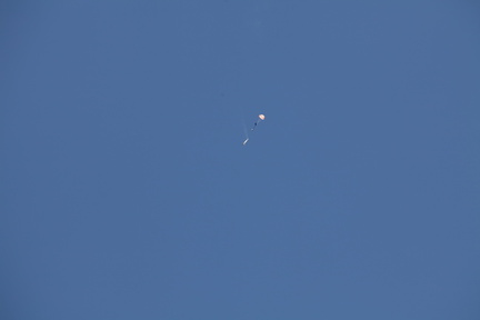 IMG 8595