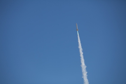 IMG 8895