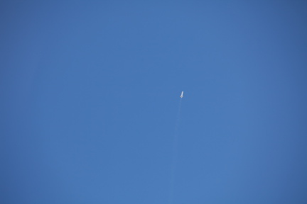 IMG 8903