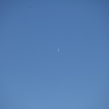 IMG 8918